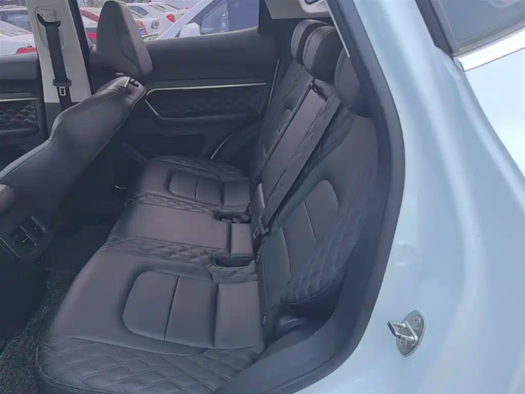 Haval H6 2020 1.5GDIT Automatic Platinum Champion Edition фото 17