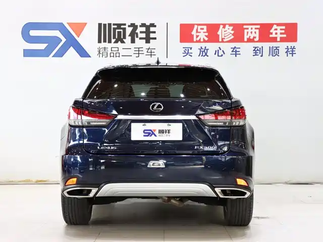 Lexus RX 2020 Facelift 300 2WD Elite Edition — фото 5