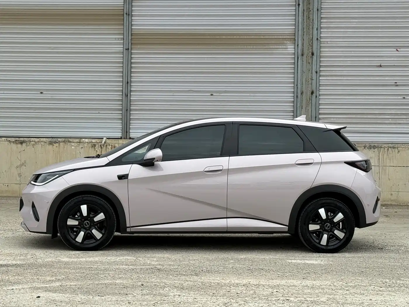 BYD Dolphin 2025 Smart Drive Edition 410km Fashion Version фото 3