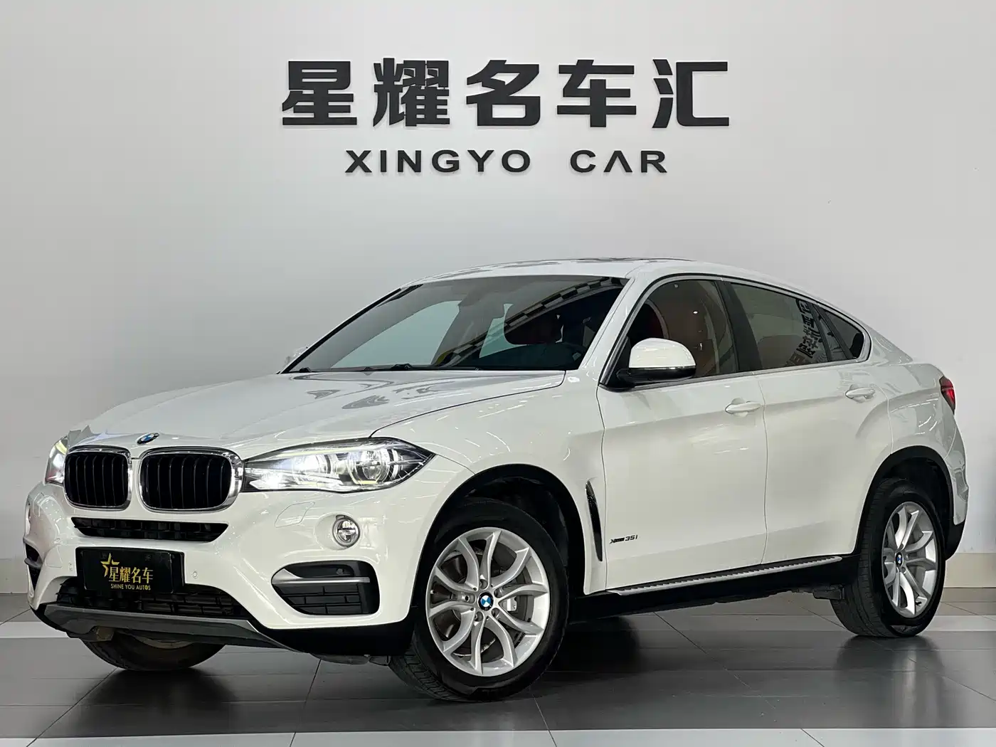 BMW X6 2015 xDrive35i Leading Type фото 19