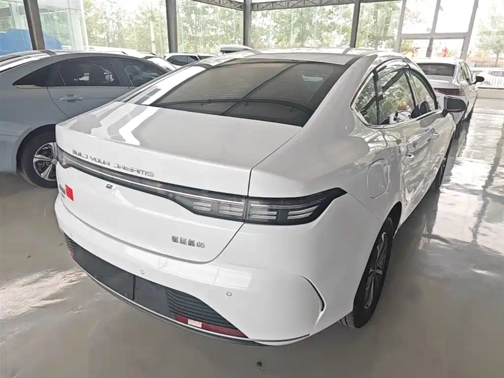 BYD Destroyer 05 2024 Glory Edition DM-i 55KM Luxury фото 7
