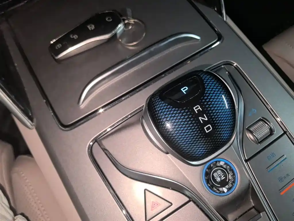 BYD Tang New Energy 2025 Smart Driving Edition DM-i 115KM Flagship фото 14