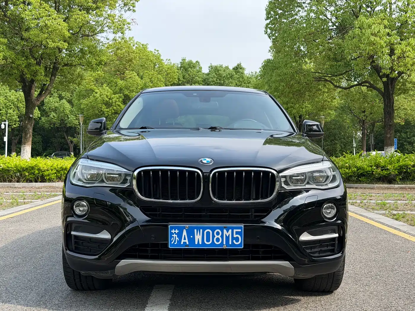 BMW X6 2015 xDrive35i Leading Type фото 2
