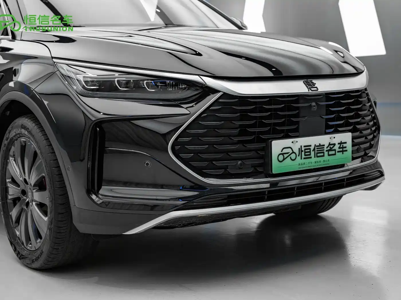 BYD Tang New Energy 2026 2026 DM-i 115KM Premium