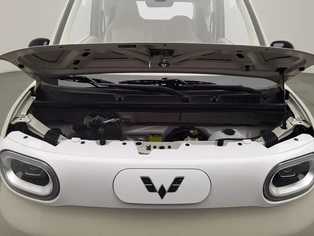 Photo 6 - Wuling Motors Hongguang MINIEV