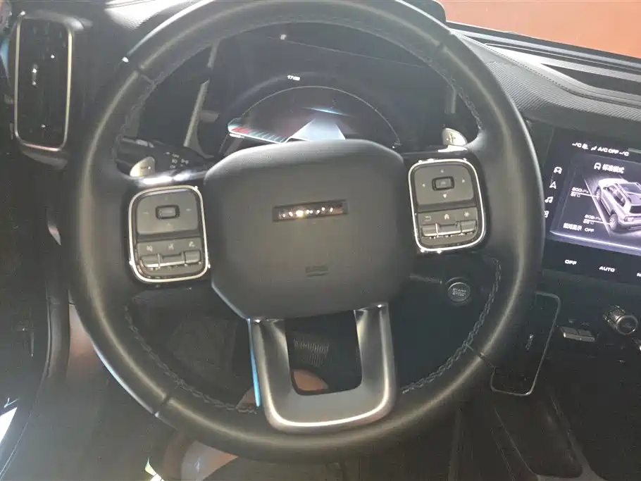 Haval Big Dog 2024 2.0T DCT Chinese Rural Dog Edition фото 15