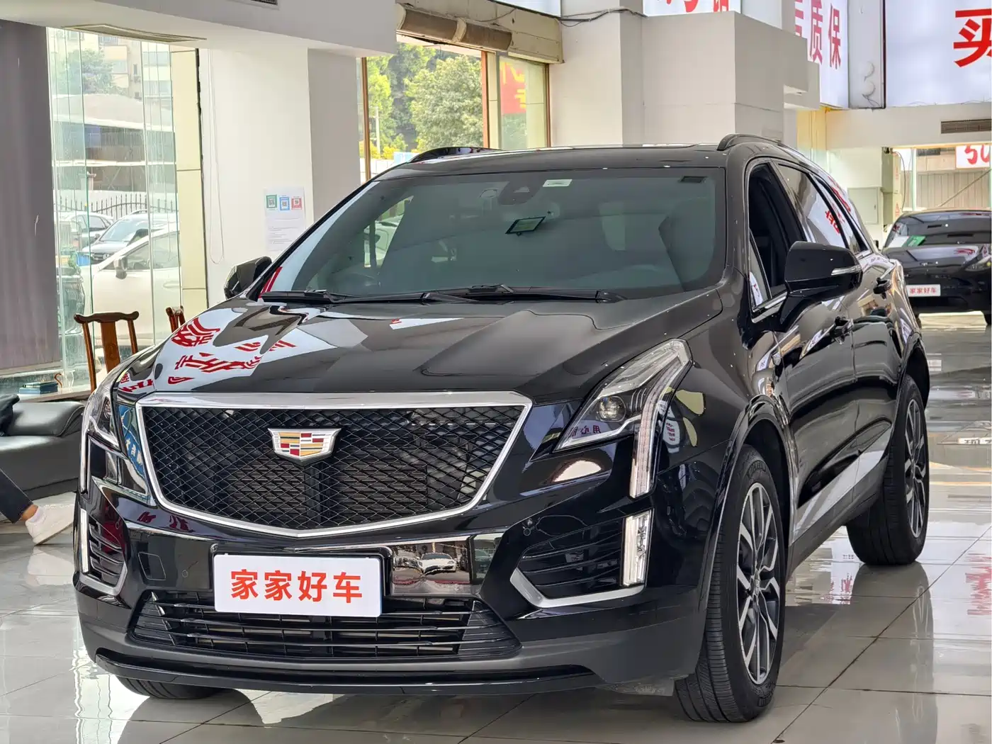 Cadillac XT5 2024 2.0T AWD Luxury (Hummingbird Edition)
