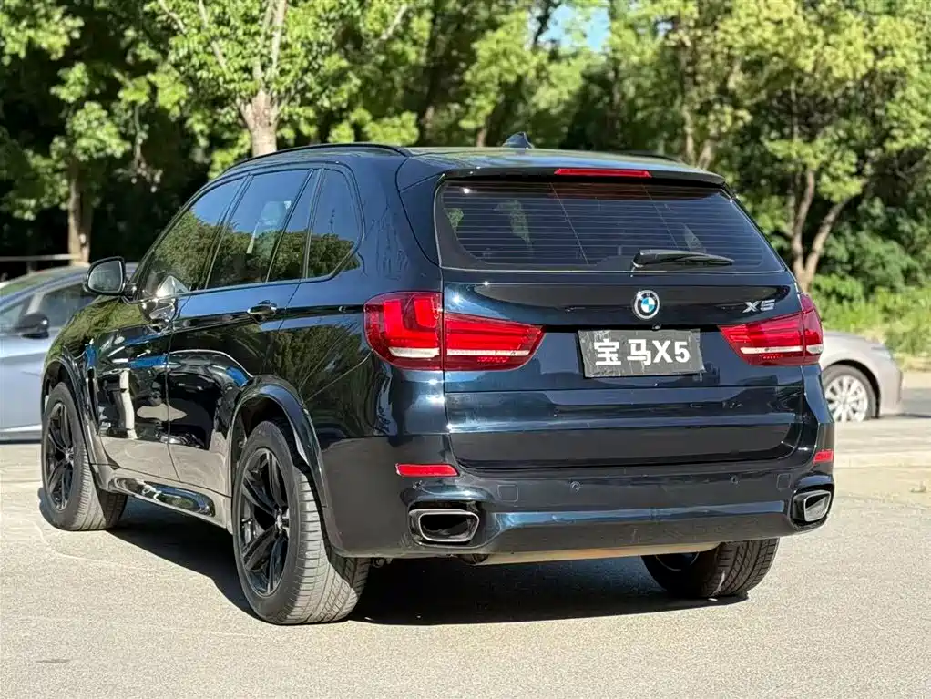 BMW X5 (Import) 2017 xDrive35i M Sport фото 6