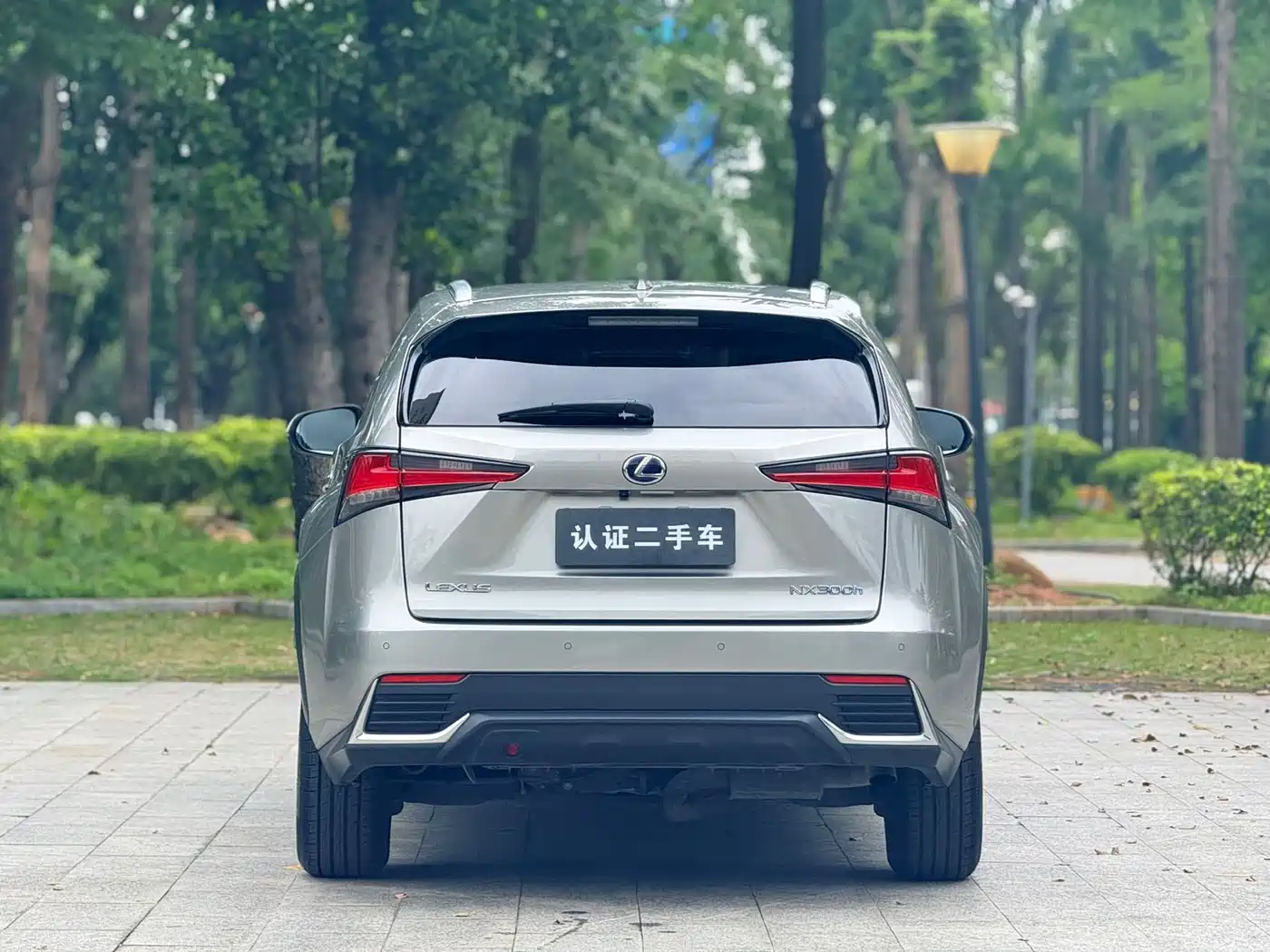 Lexus NX 2018 Model 300h FWD Fengshang Edition China V фото 19