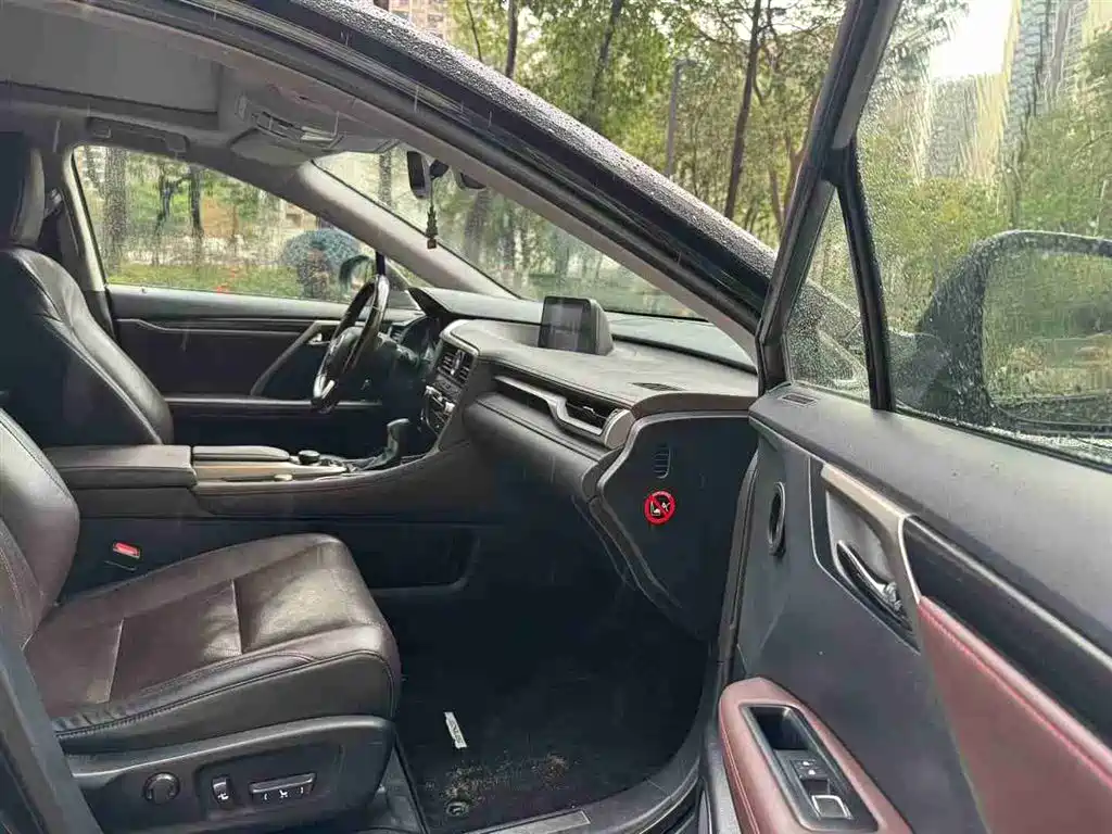 LEXUS RX