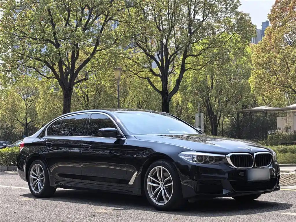 BMW 5 Series 2020 525Li M Sport Package фото 21