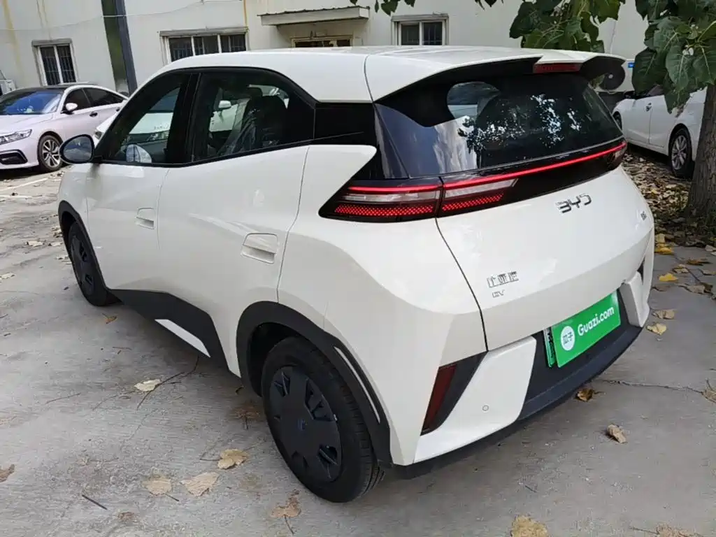 BYD Seagull 2026 2025 Smart Drive Edition 305km Vitality Version