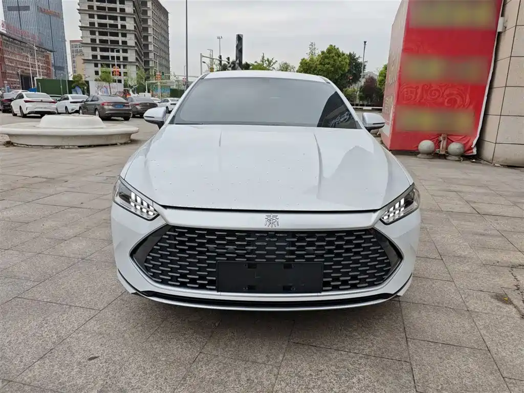 BYD Qin PLUS 2024 Glory Edition DM-i 55KM Leading фото 3