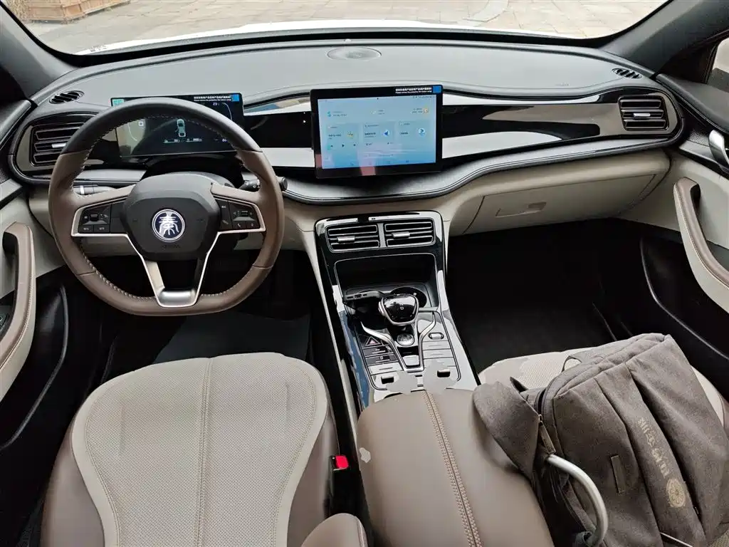 BYD Qin PLUS 2024 Glory Edition DM-i 55KM Leading фото 6