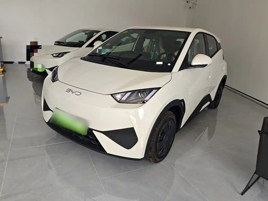  BYD Seagull 2025 Smart Drive Edition 305km Vitality Version