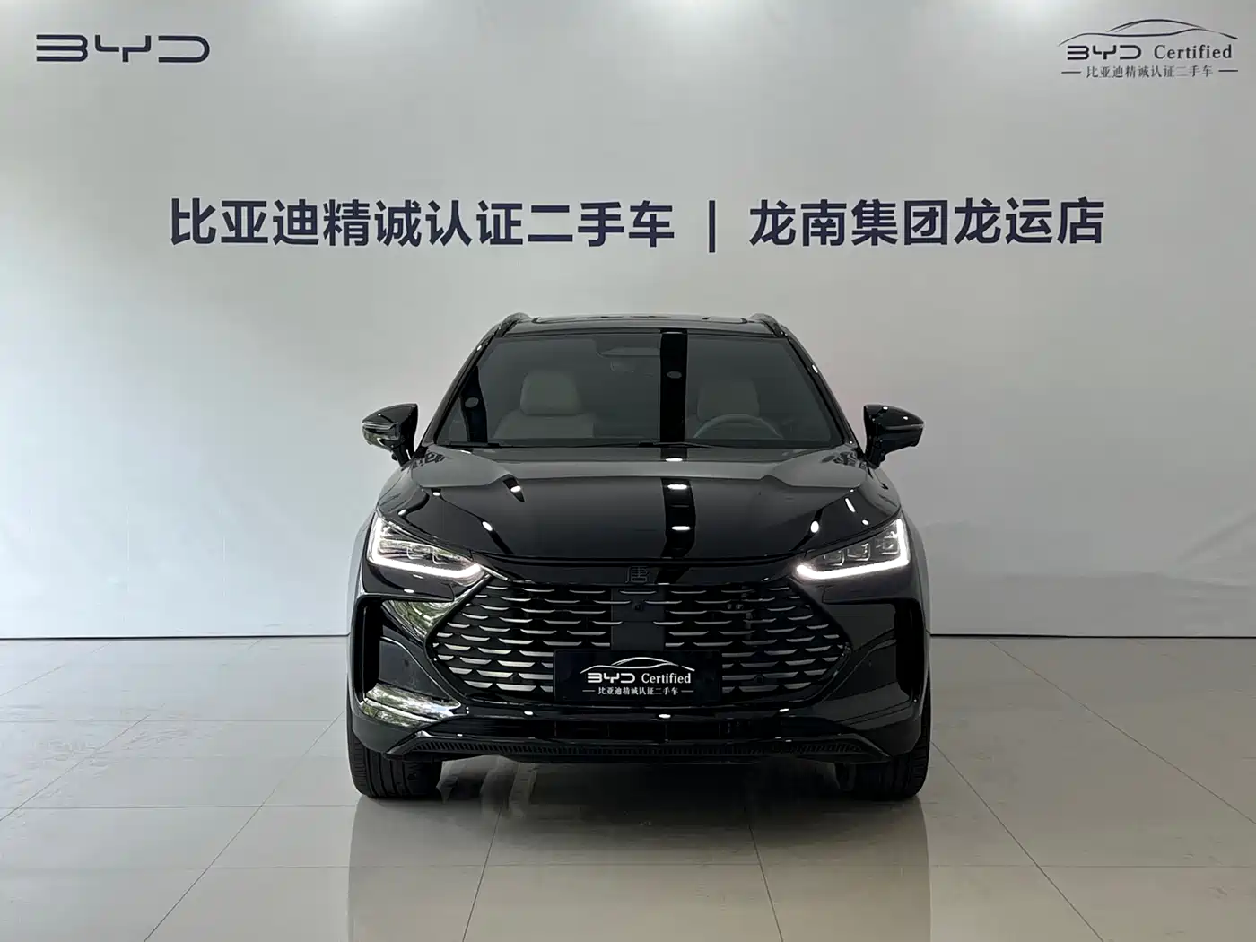 BYD Tang New Energy 2026 DM-i 115KM Premium фото 2