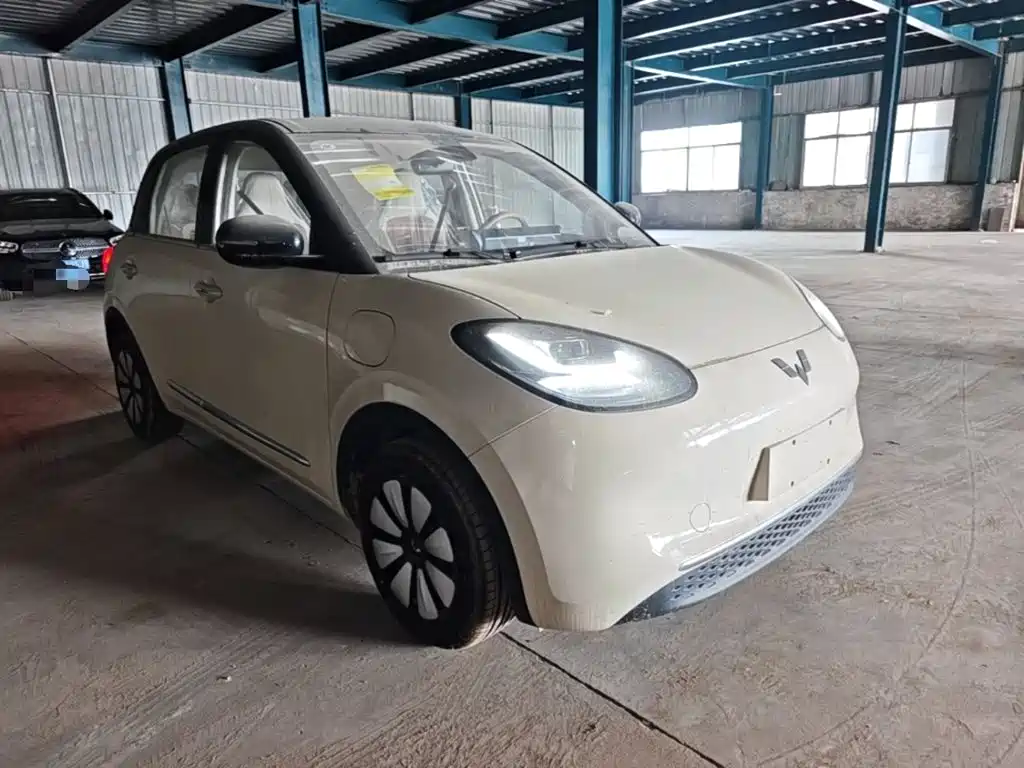 Wuling Motors Wuling Bingo 2026 2025 Model 333km Joy Edition