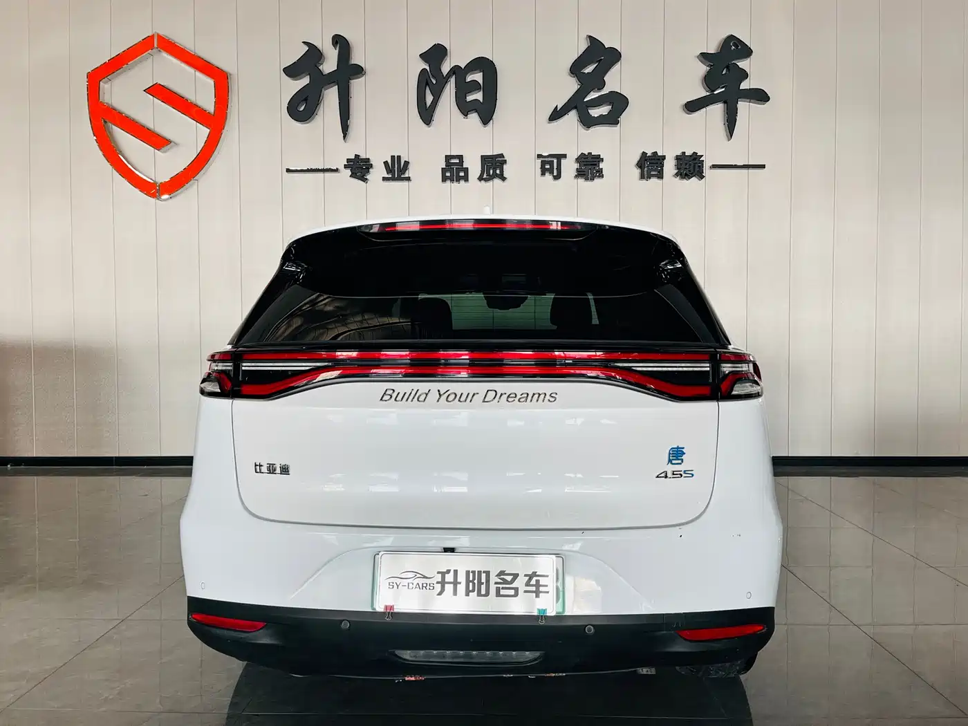BYD TANGXIN ENERGY