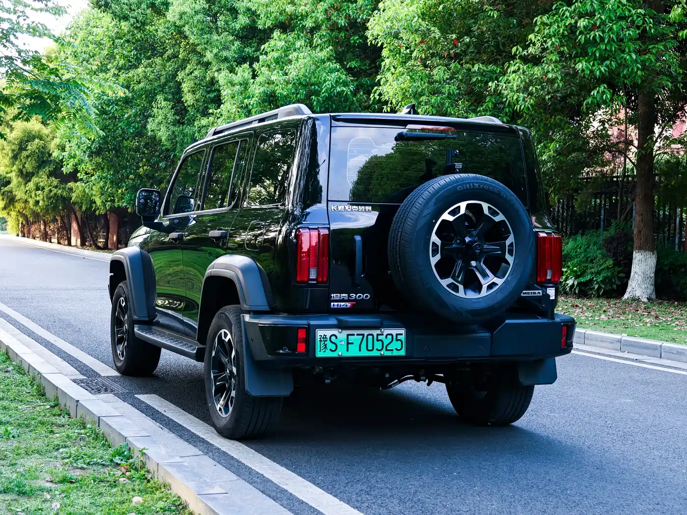 TANK TANK 300 NEW ENERGY