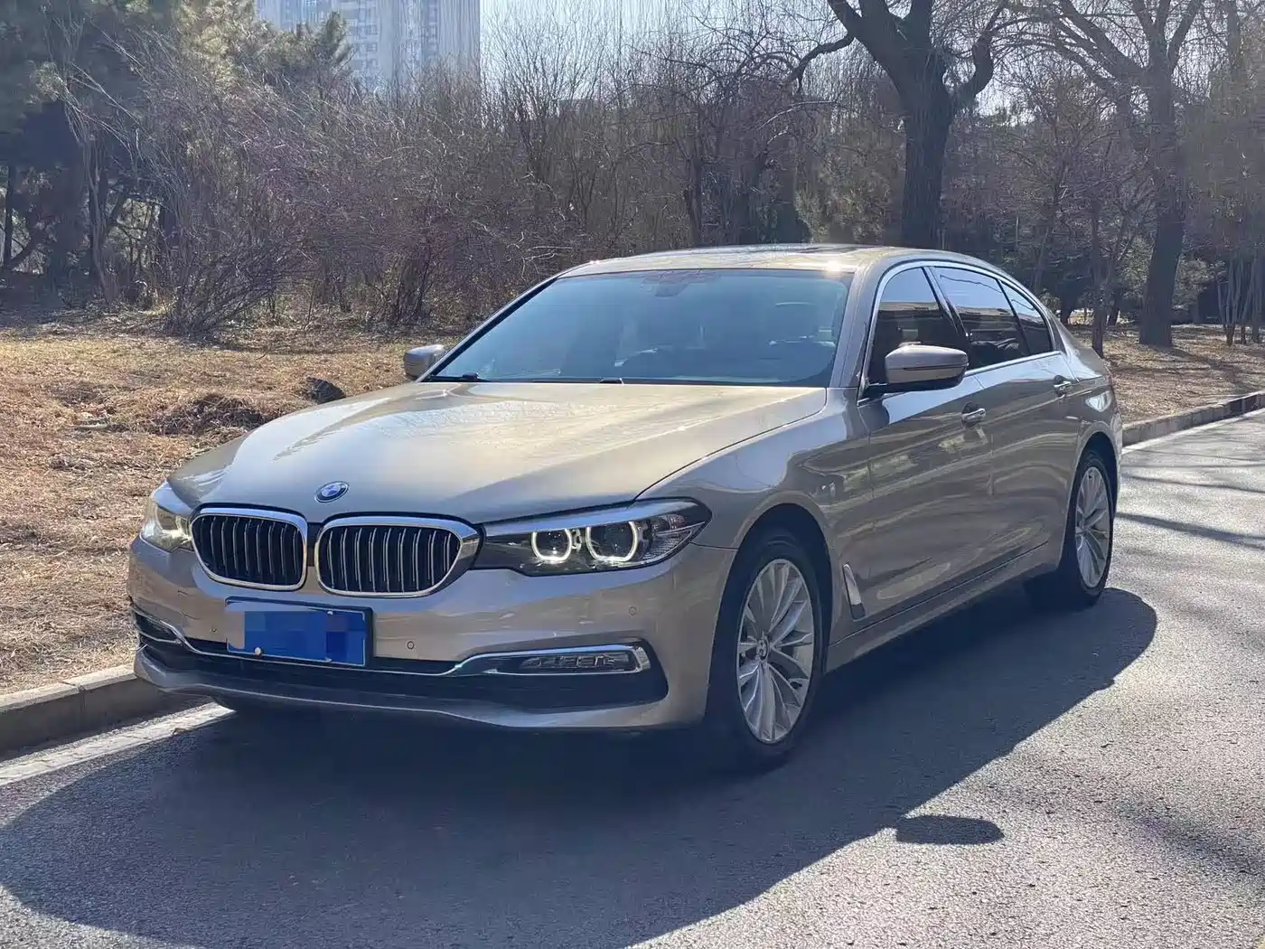 BMW 5 Series 2018 525Li Luxury Package