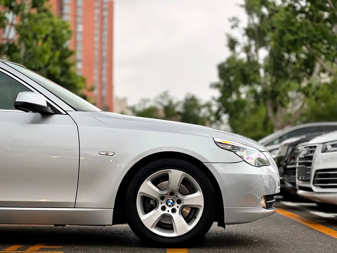 BMW 5 Series 2008 523Li Elegance фото 55