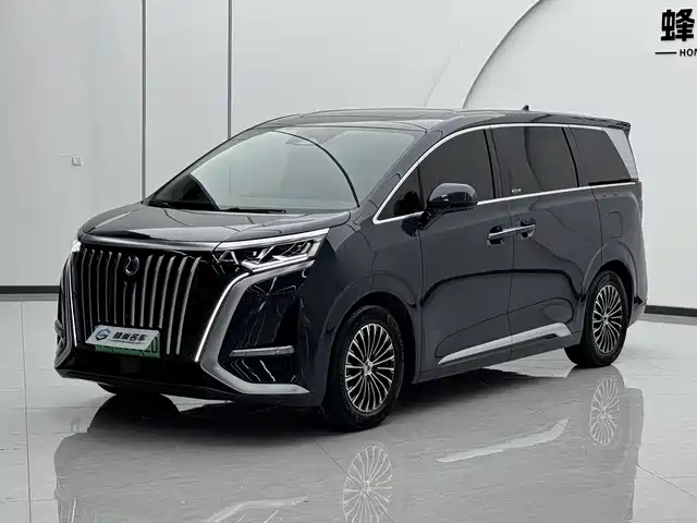 Denza D9 EV 600, Полный привод Флагман