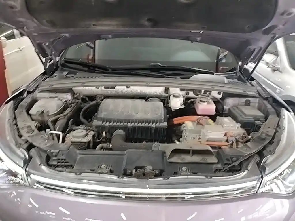 Denza X 2021 2020 Model PHEV Flagship Edition