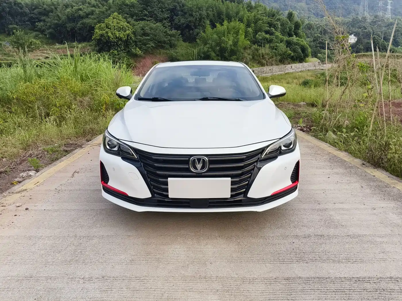 Changan Ruicheng CC 2021 2021 Blue Whale Edition 1.5T DCT Luxury