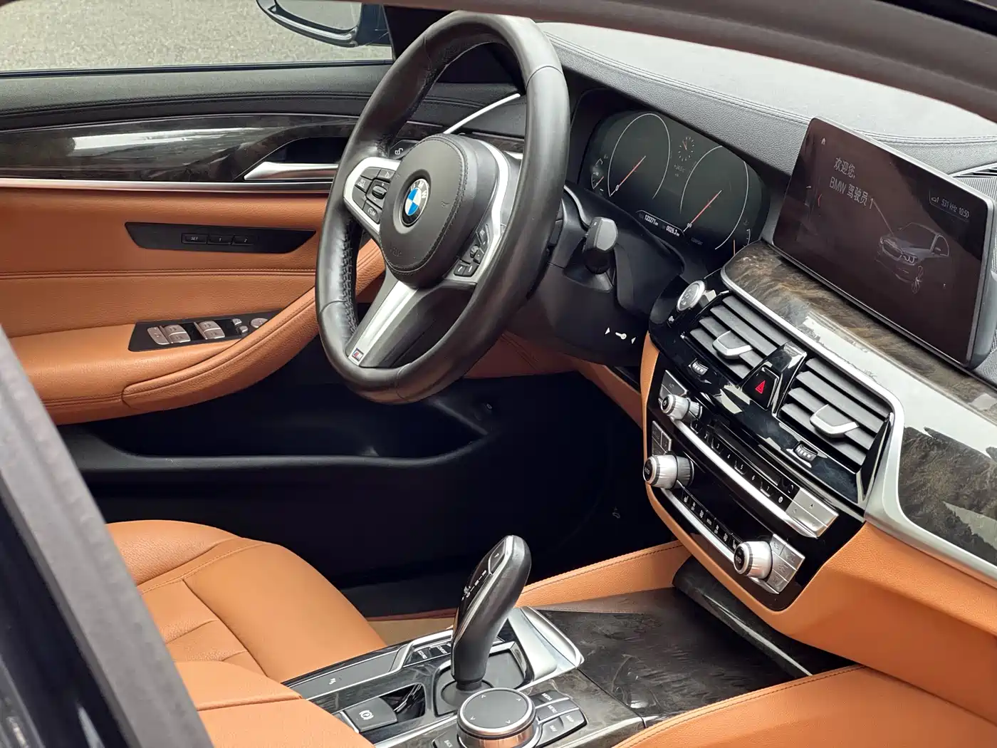 BMW 5 Series 2019 530Li xDrive M Sport Package фото 16