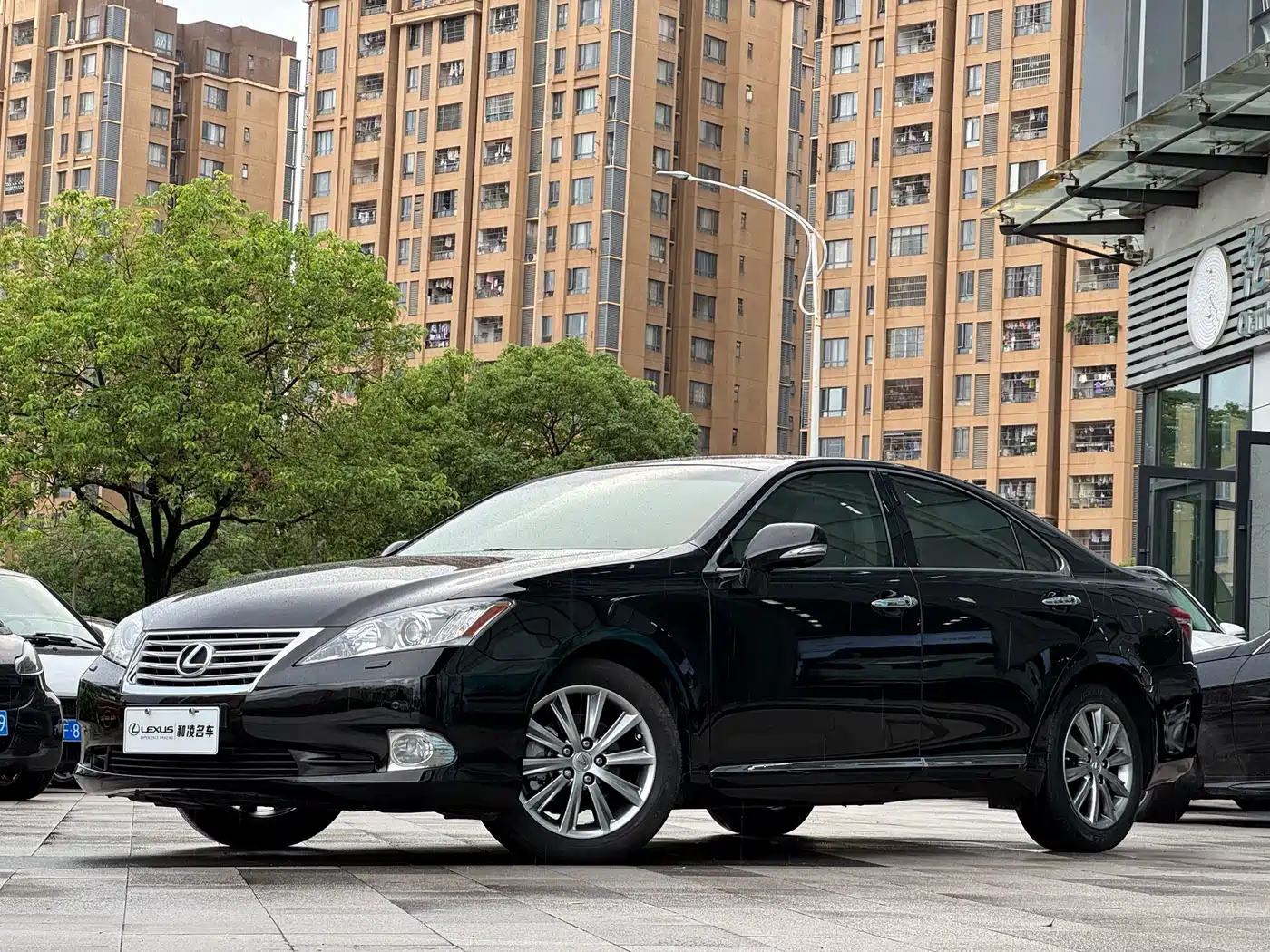 Lexus ES 2010 350 Luxury Edition