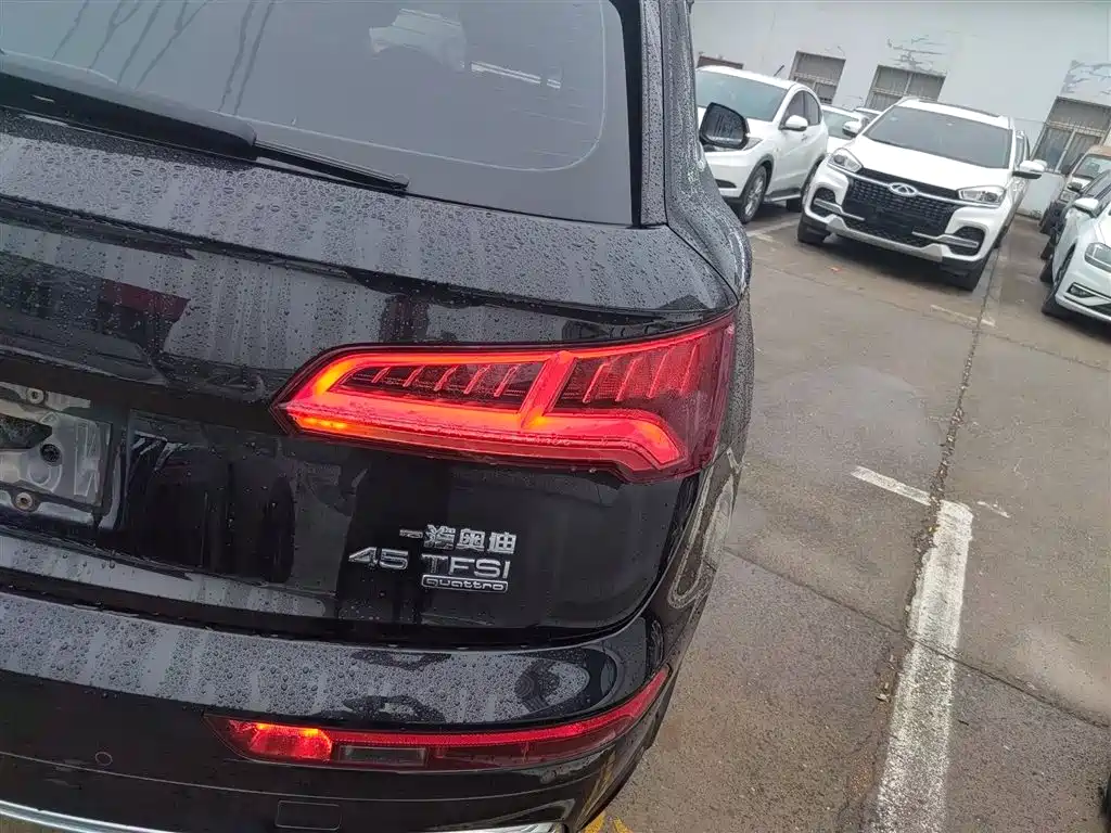 Audi Q5L 2018 45 TFSI Exclusive Fashion (China V) фото 24