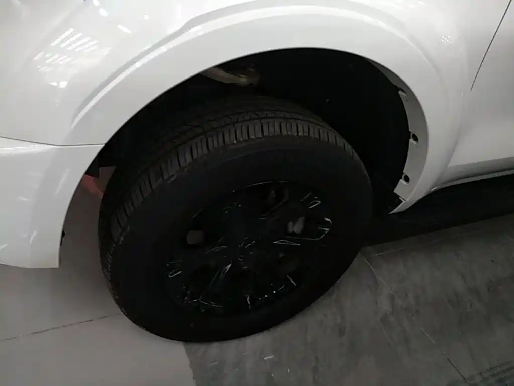 Great Wall Shanhai Cannon 2025 2025 2.4T Global Edition Base Model
