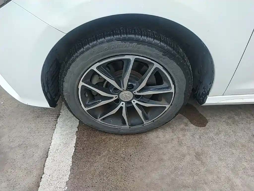 صورة 23 - BYD Song MAX