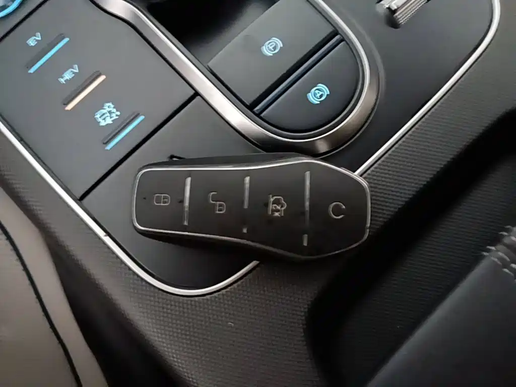BYD Destroyer 05 2025 2024 Glory Edition DM-i 55KM Luxury