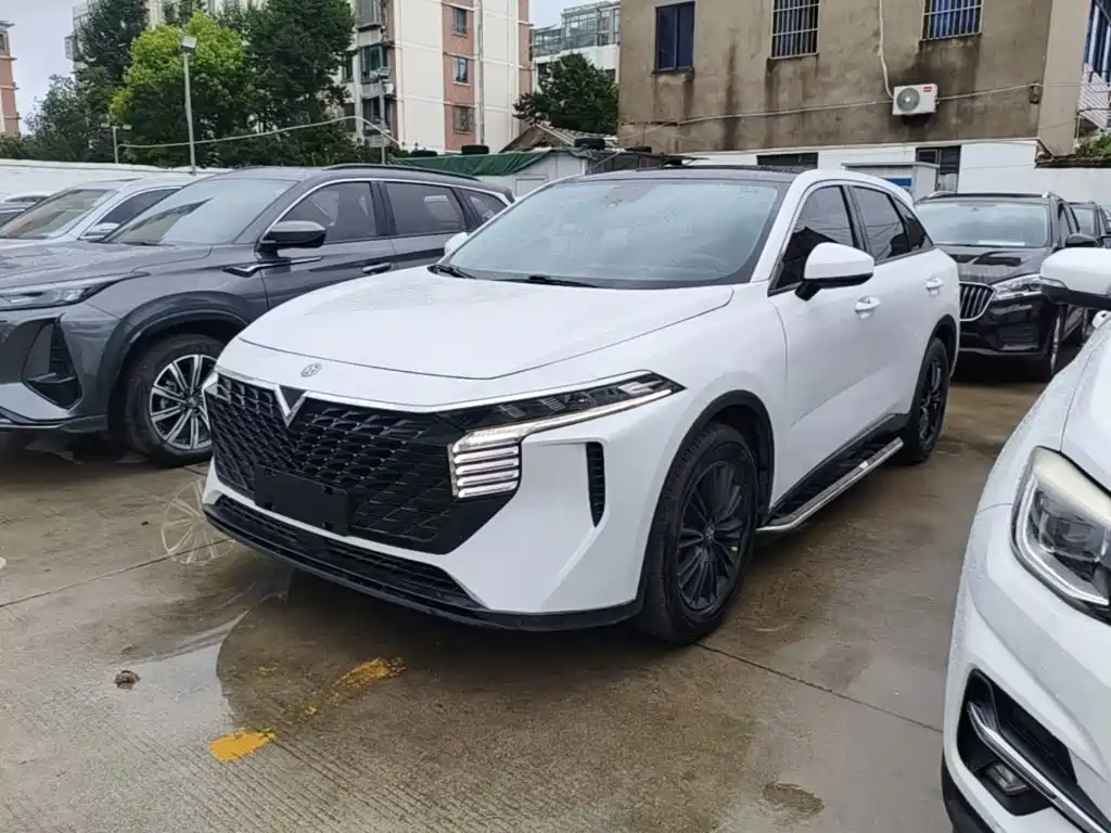 Venucia Big V 2022 2021 260T Idol Edition