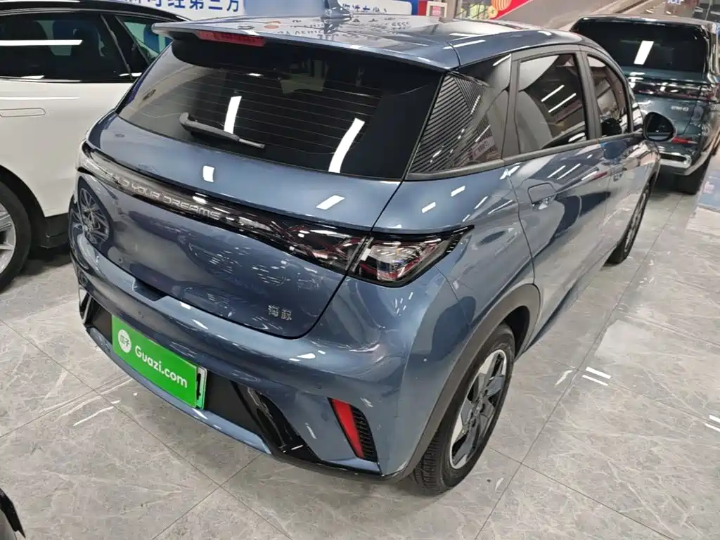 Фото 7 - BYD Dolphin