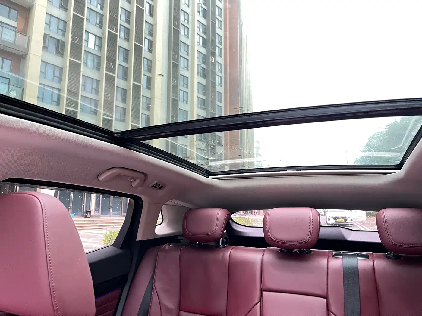 WEI PAI WEI BRAND P8