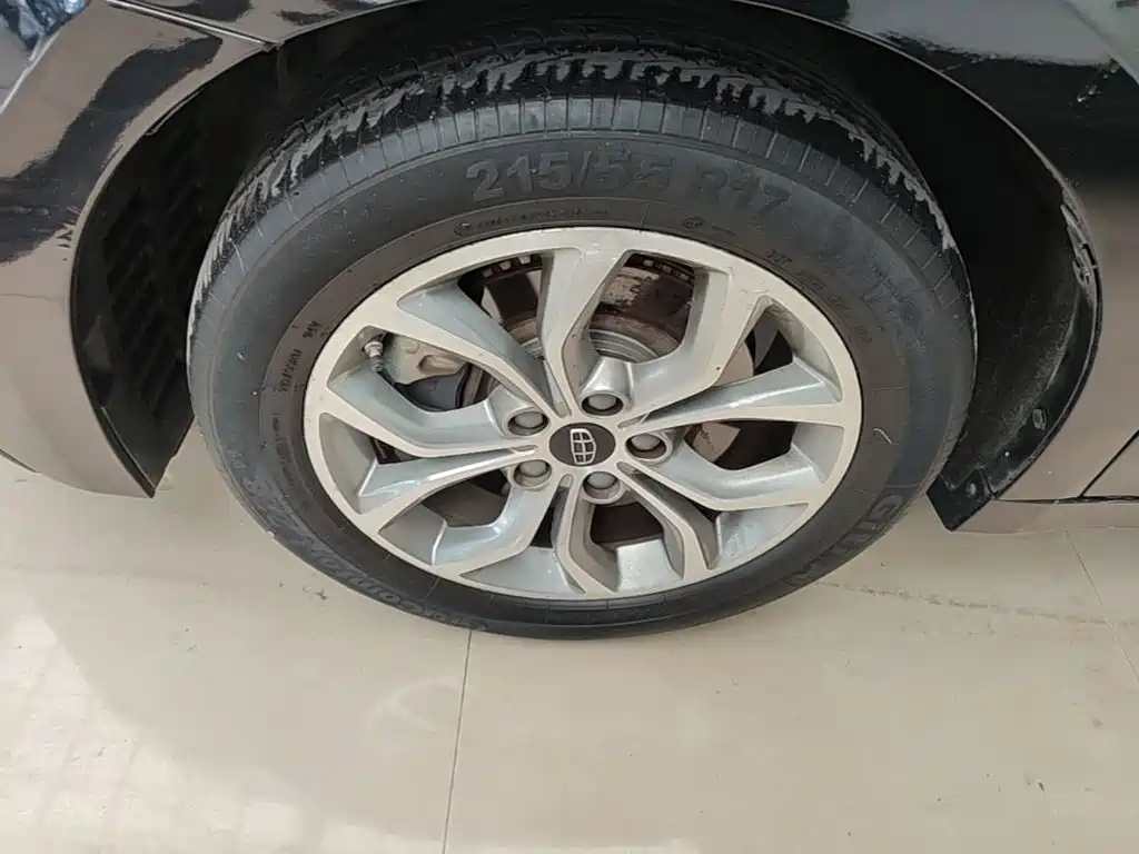Photo 23 - Geely Borui
