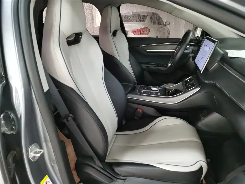 BYD Destroyer 05 2024 Glory Edition DM-i 55KM Luxury фото 20
