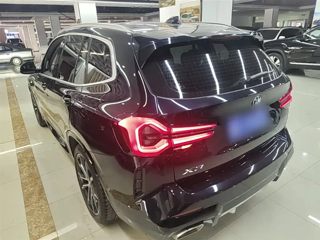 BMW X3 2022 xDrive30i Leading M Night Package фото 23