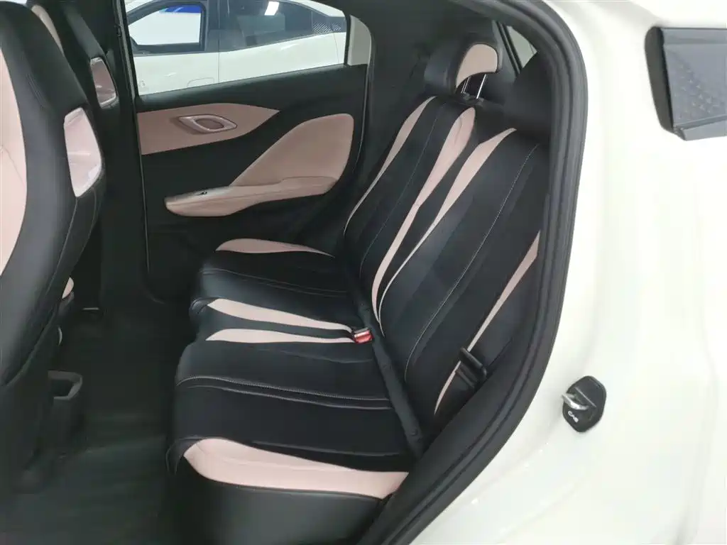 BYD Seagull 2025 305km Vitality фото 13