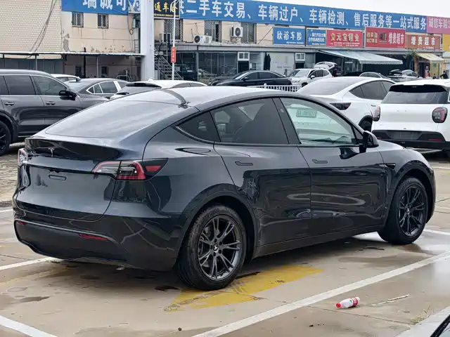 Tesla Model Y 2024 Rear-Wheel Drive Version — фото 4
