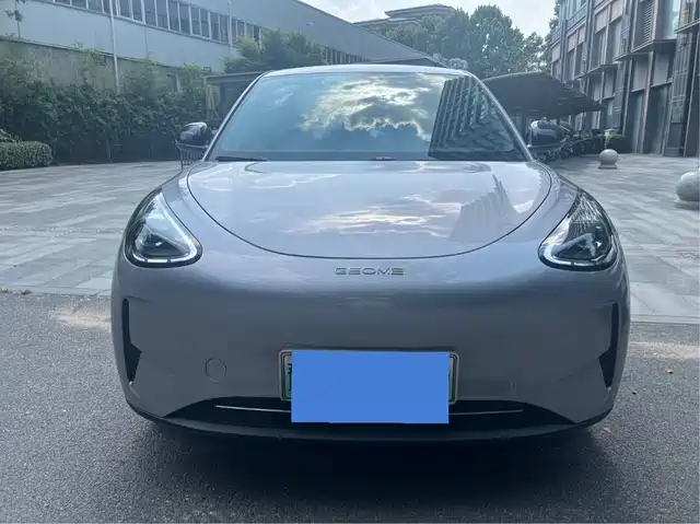  Geely Galaxy Starry Wish 2025 310km Youth Edition