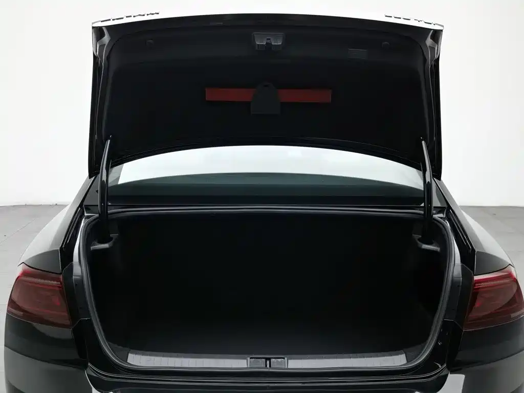 Photo 16 - Volkswagen Magotan