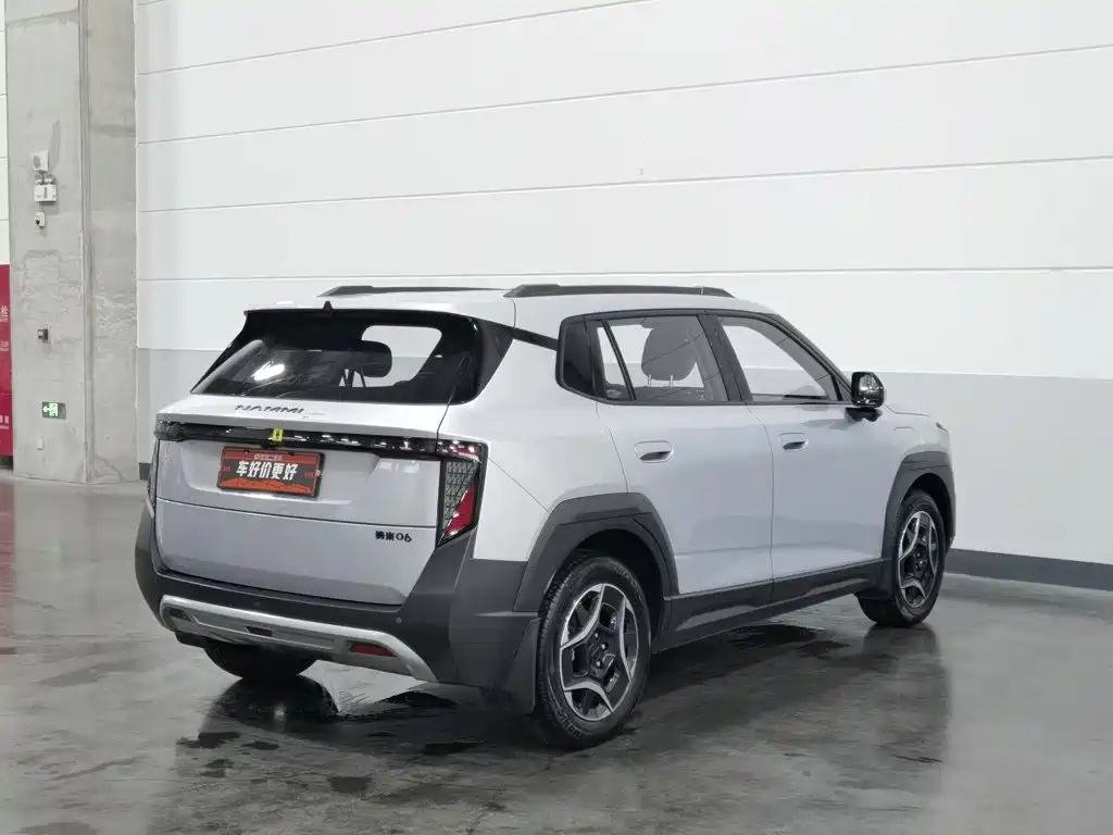 2025 Dongfeng Yipai Nano 06