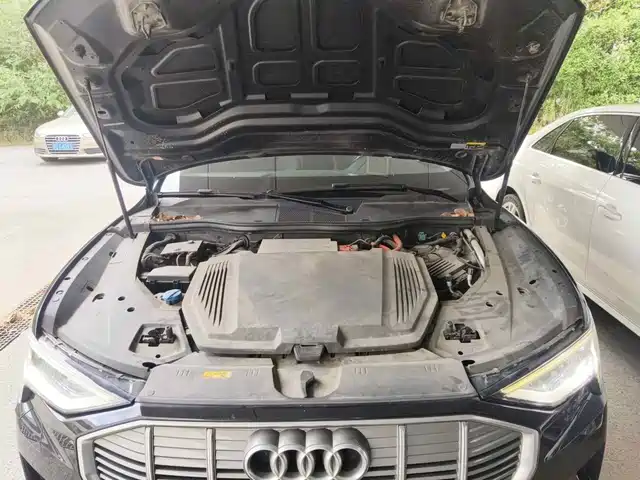 Audi e-tron (Import) 2019 55 quattro Technology — фото 3