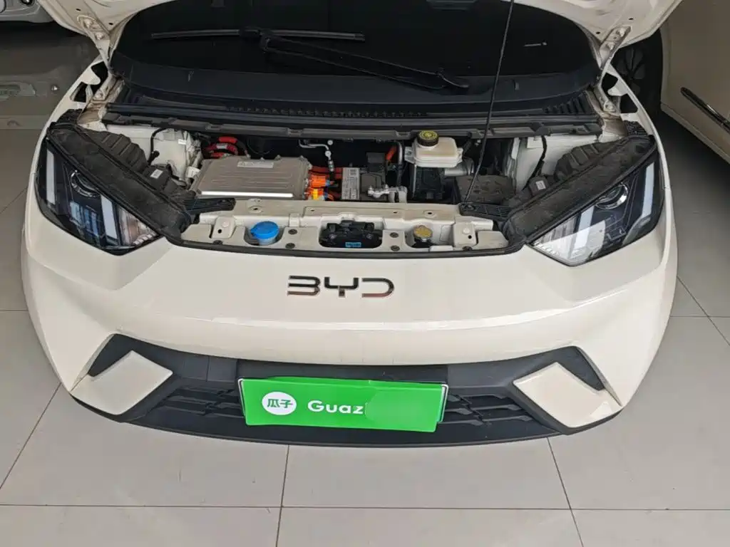 BYD Seagull 2025 2025 305km Vitality