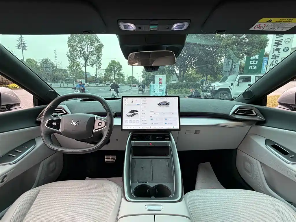 ARCFOX EXTREME FOX POLAR FOX ALPHA S5