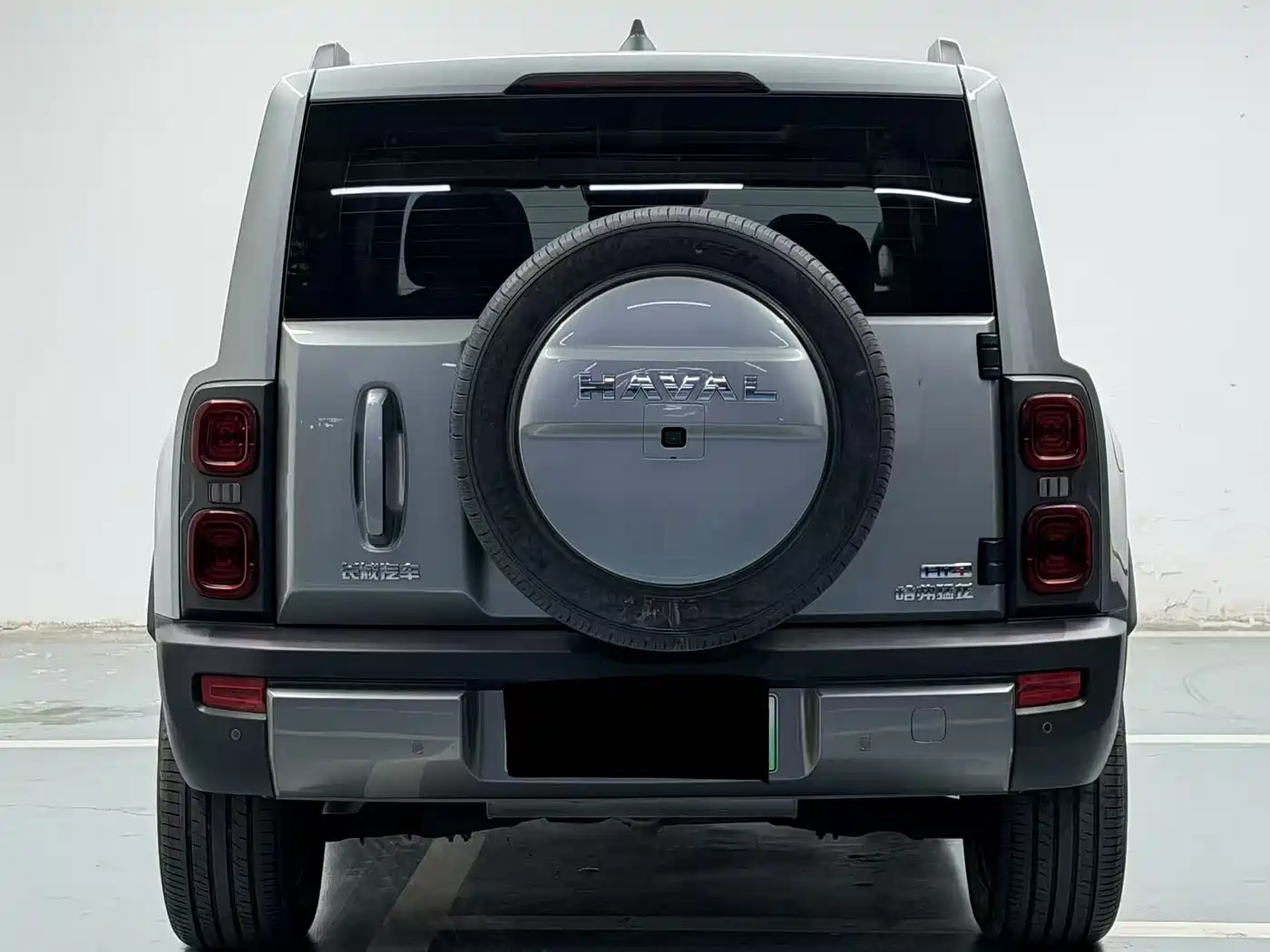 HAVAL RAPTORS NEW ENERGY