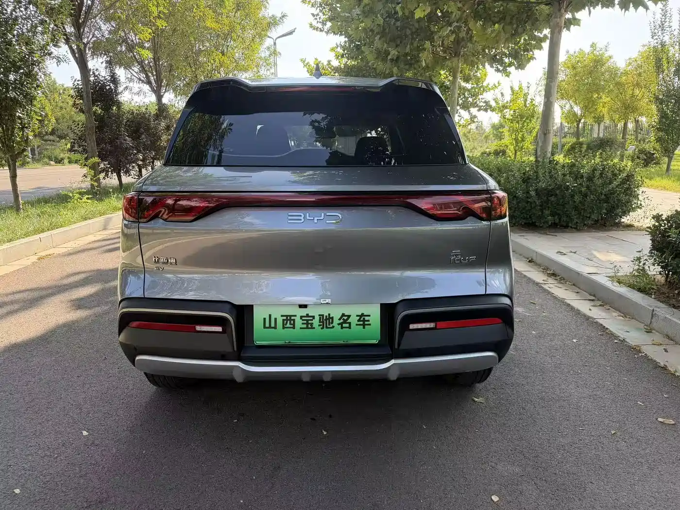 BYD Yuan UP 2025 2025 Smart Drive Edition 401KM Leading Type